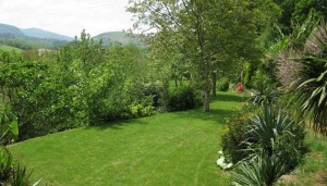 Mantenimiento de jardines en comunidades