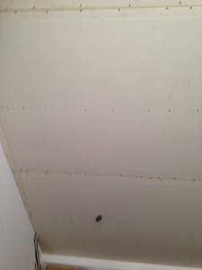Colocación de techo de Pladur
