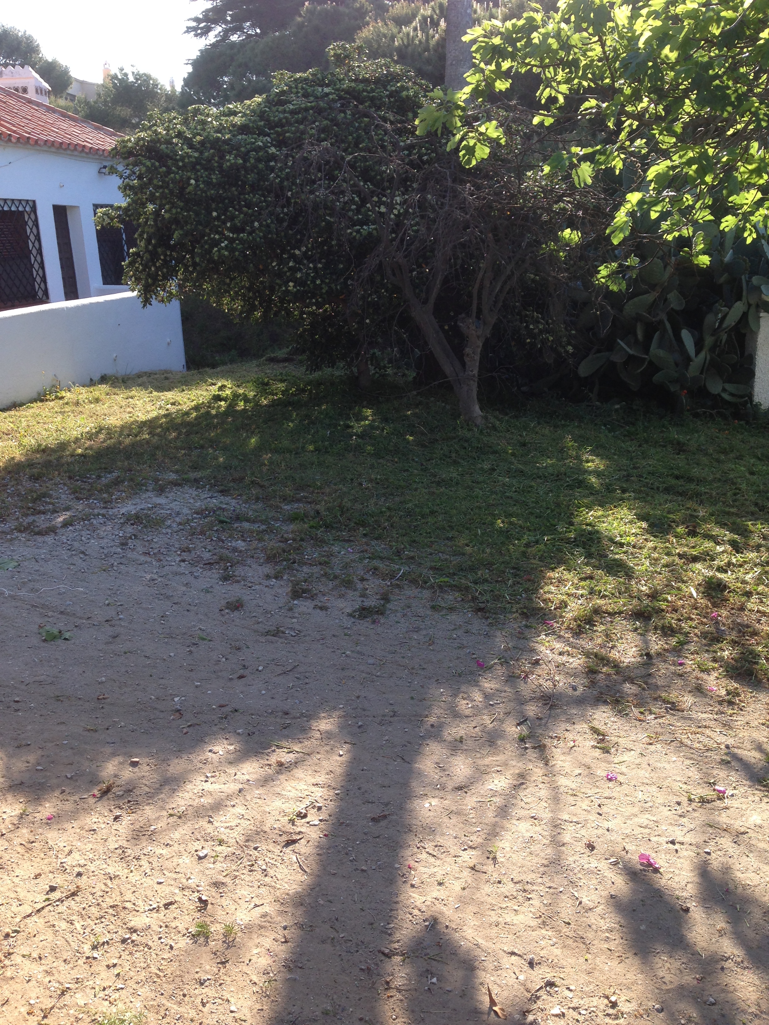 Mantenimiento y limpieza de jardines