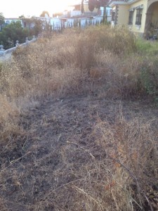 Terreno para desbrozar. Trabajos de jardinería en Málaga