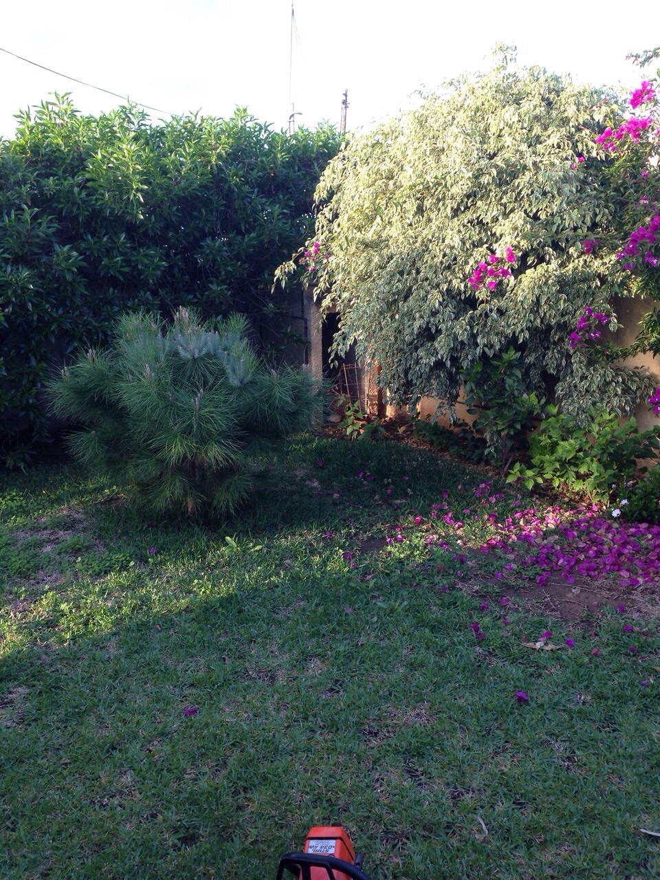 Poda de Jardines