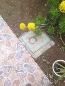 Obras-y-servicios-Málaga 