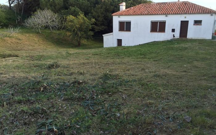 Poda y limpieza de jardines