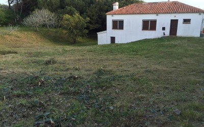 Poda y limpieza de jardines