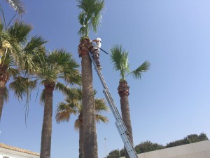 Obras y Servicios Malaga