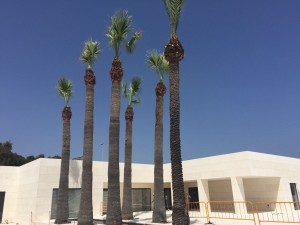 Obras y Servicios Malaga