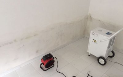 Arreglos de humedades en Málaga y provincia