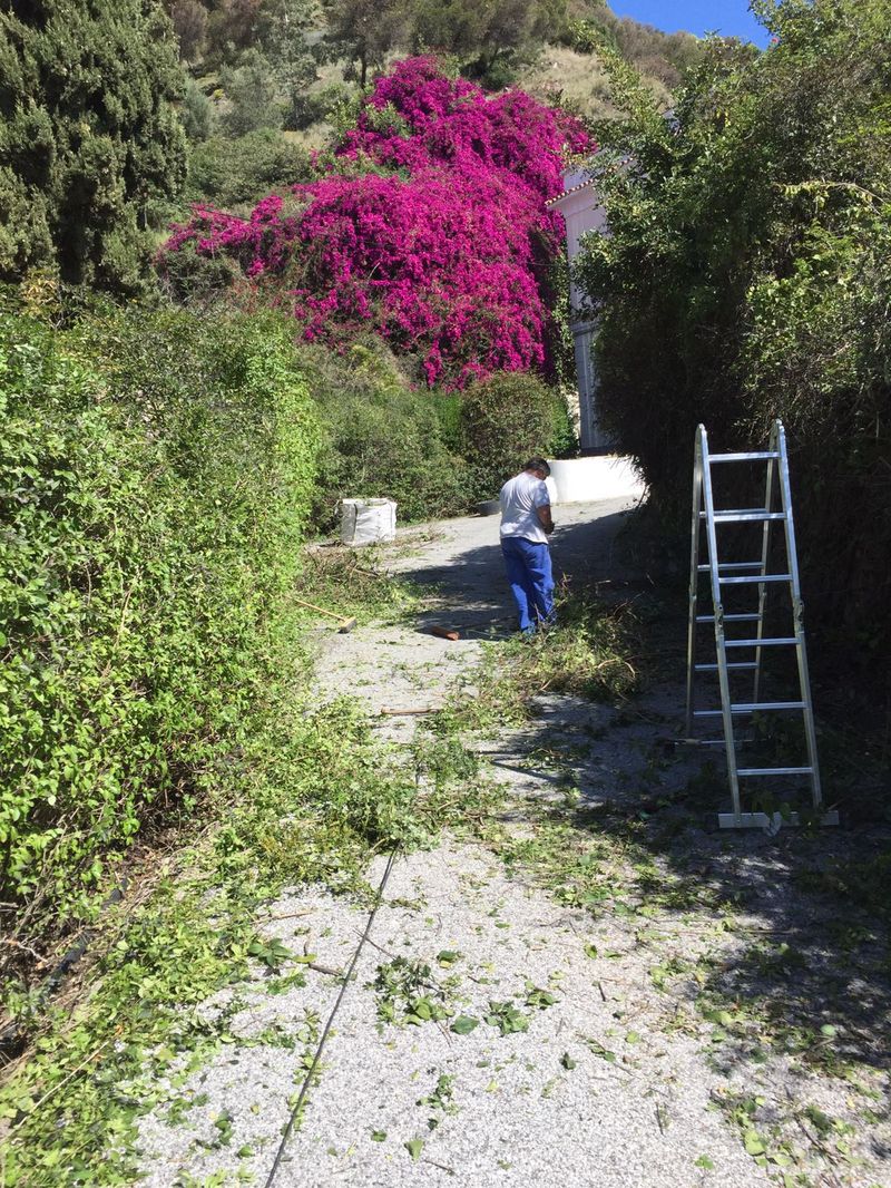 jardinero en malaga