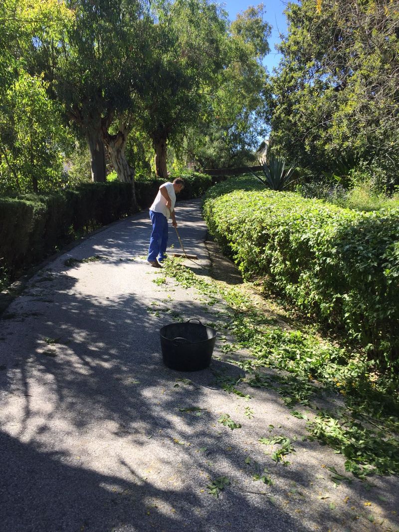jardinero en malaga