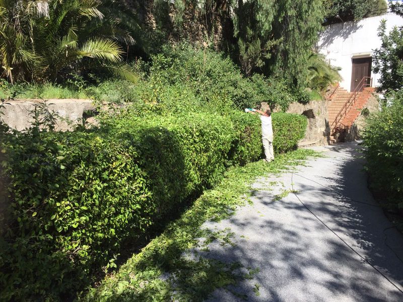 jardinero en malaga