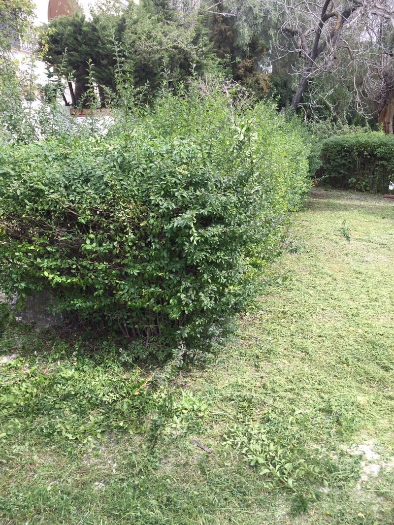 jardinero en malaga